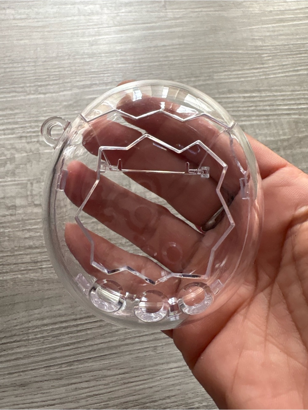 Clear Protective Case Tamagotchi Paradise